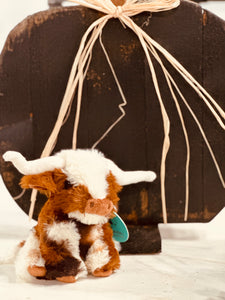 Mini Longhorn/Highland Cow